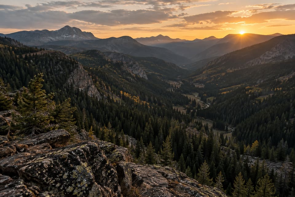Forested mountain ridges and a winding drainage in warm morning light